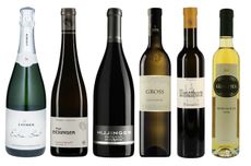 Astria top-scoring wines DWWA 2020