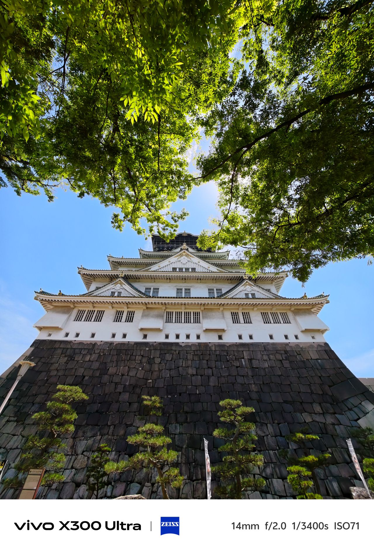A dramatic wide-angle shot looking up at a tiered castle towering over a massive dark stone wall.