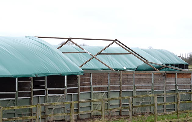 Ponies Association (UK) Winter Classic 2015 on 28 03 2015