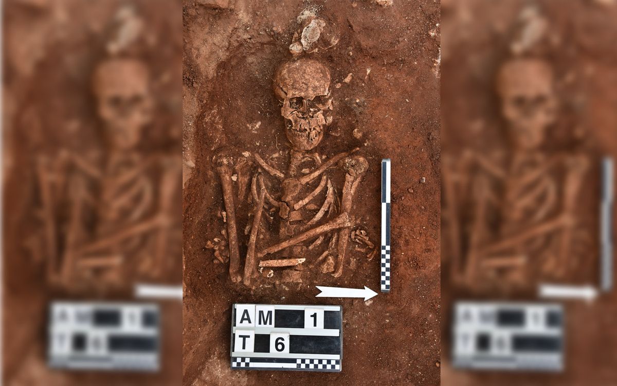 Viking King Buried With a Pillow and Fine Silk, New Study Confirms