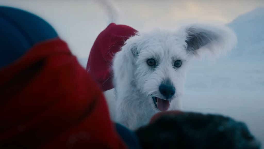 5 Things I Love About Krypto The Superdog From DC Comics, Movies, And ...