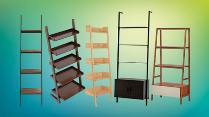 an illustrated collage of ladder bookshelves