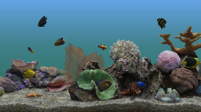 Free Aquatic Life 4K, a Roku screensaver