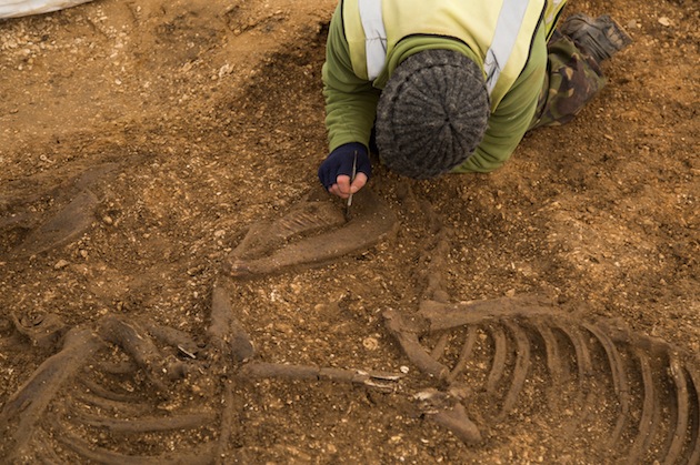 Iron Age horses