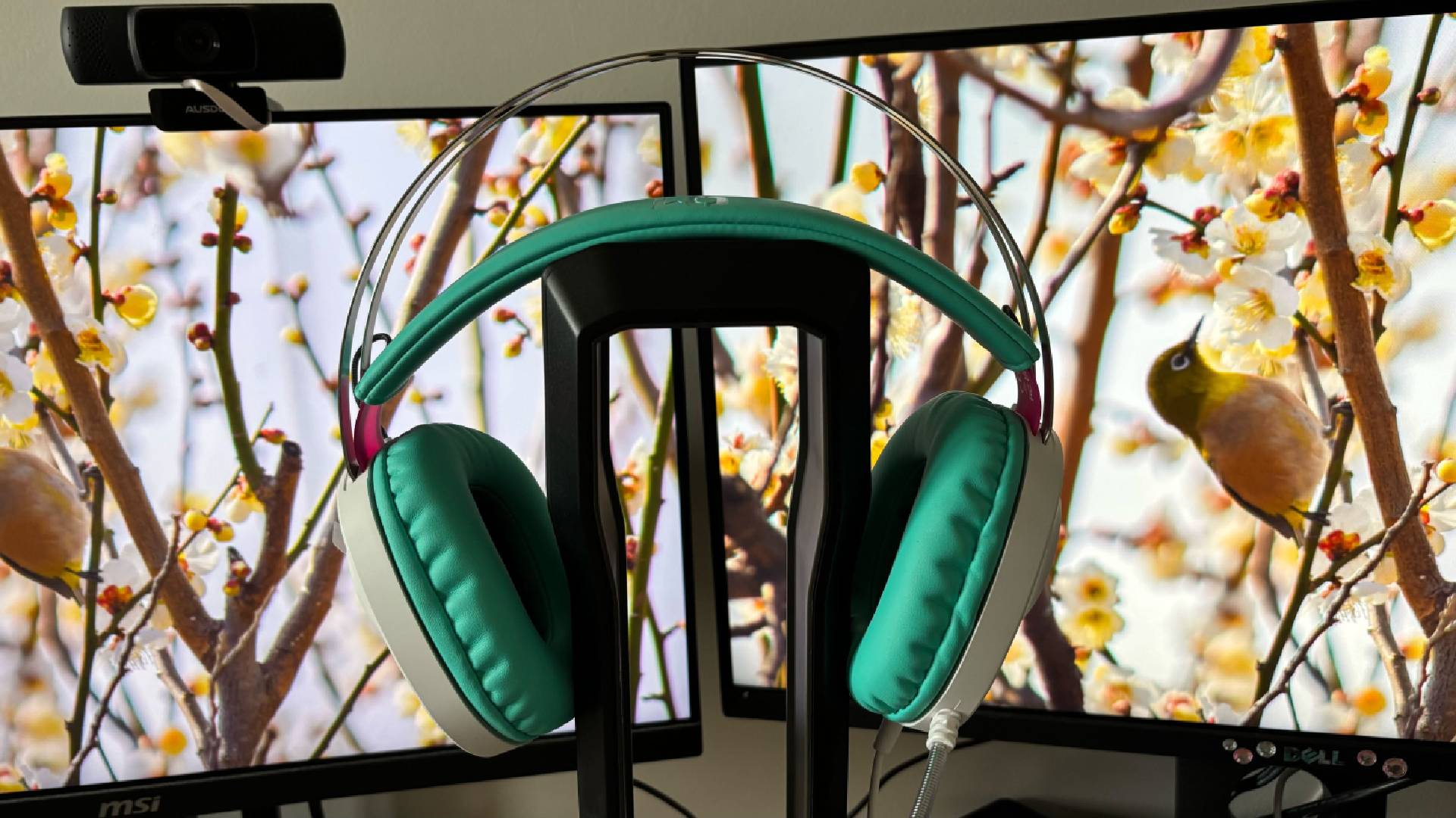 Miku x TUF Gaming Headset against Floral Background