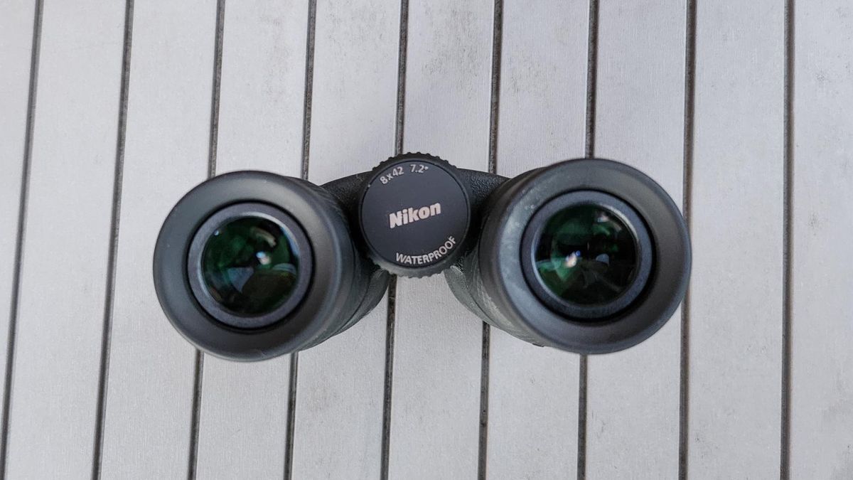 Nikon Prostaff P7 8x42 binoculars review Space