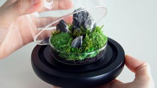 TerraLiving Preserved Moss Terrarium, Etsy