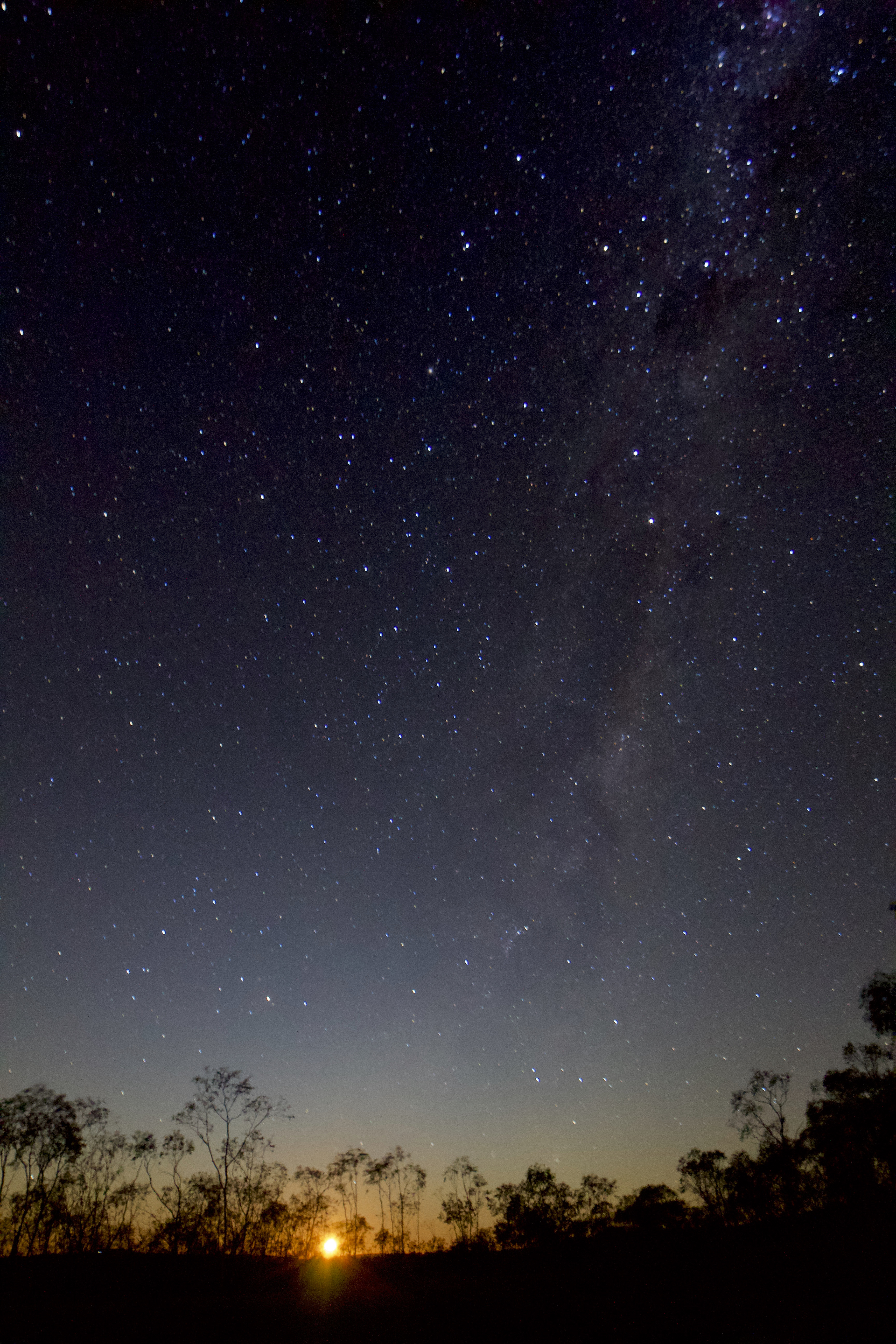 A dark blue sky overlooking trees in silhouettes