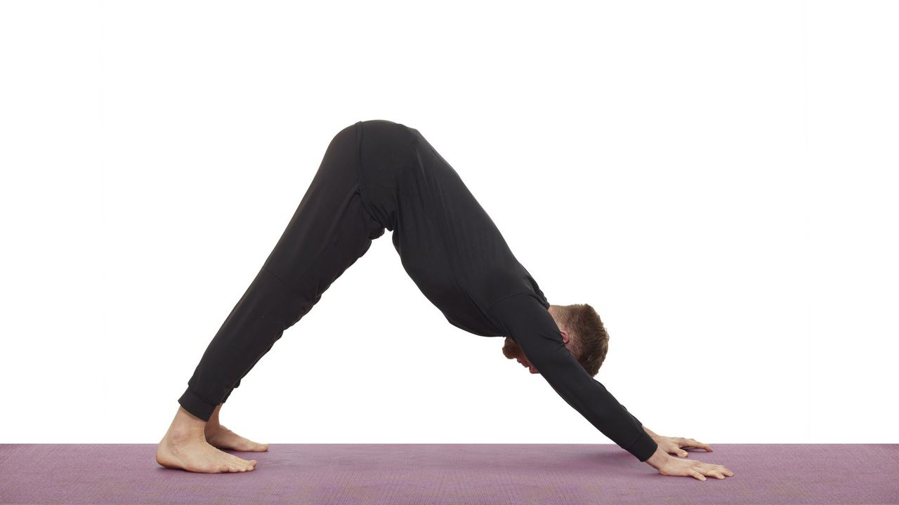 Yoga teacher Nick Higgins performs downward dog