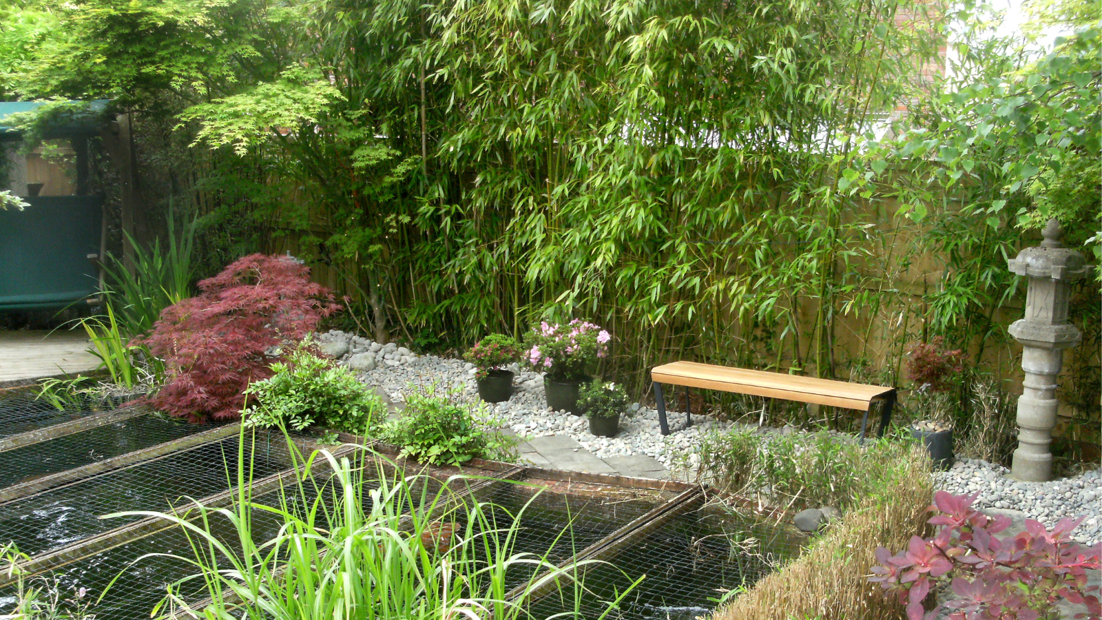 Ornamental garden with bamboo growing along the back fence