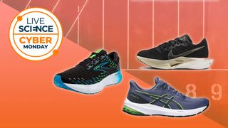 Running shoes discounted for Cyber Monday on an orange background