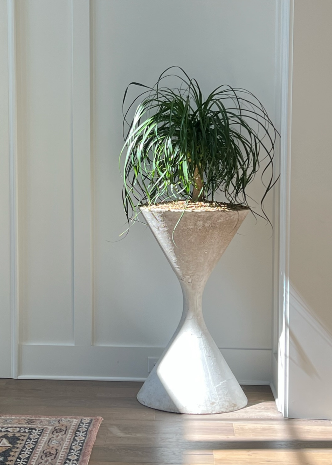 A potted plant in an hourglass-style planter