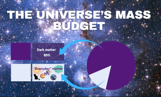 A pie chart showing how dark matter outweighs the "ordinary" matter in the universe that comprises everything we see around us (even next door's cat)