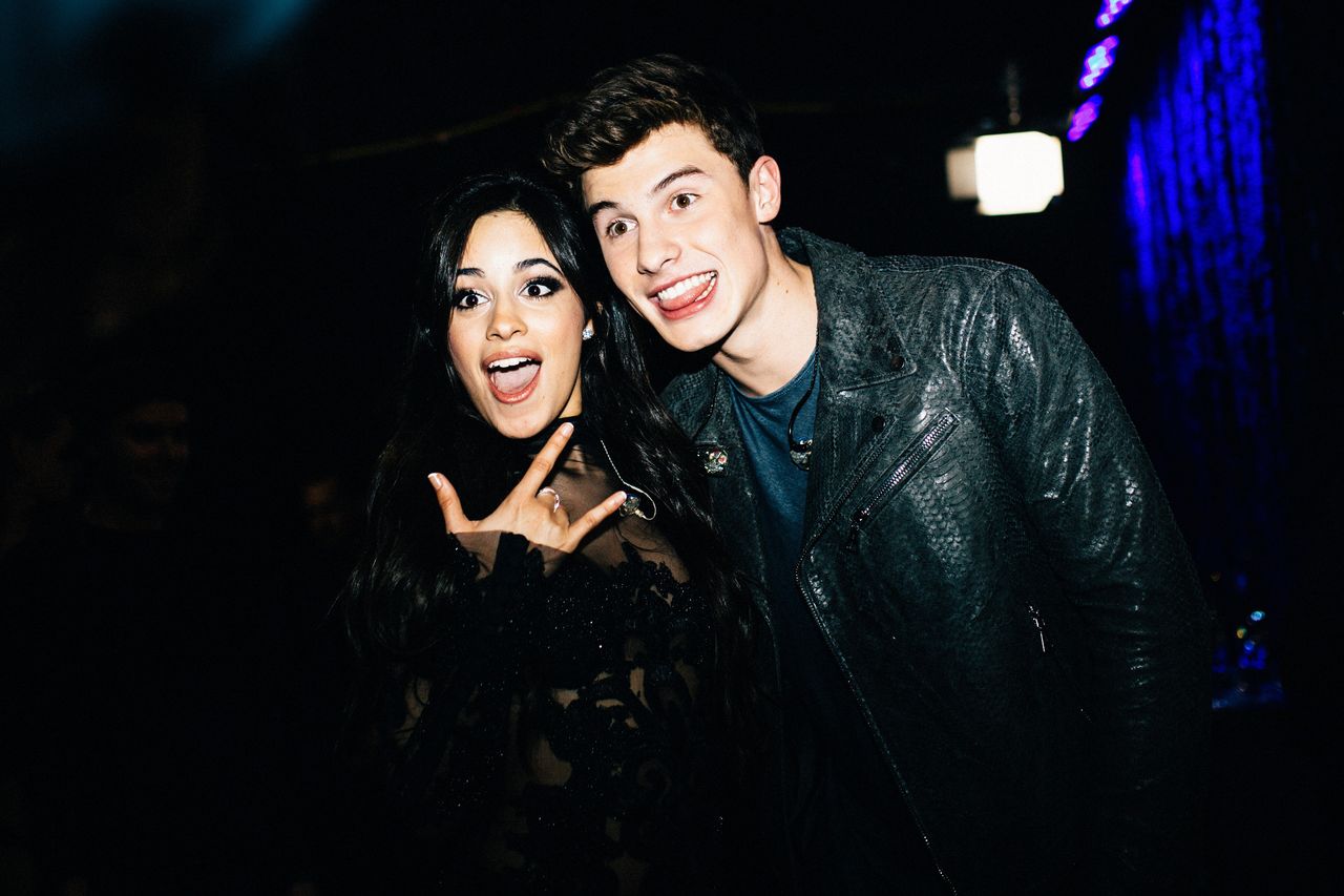 Shawn Mendes and Camilla Cabello.