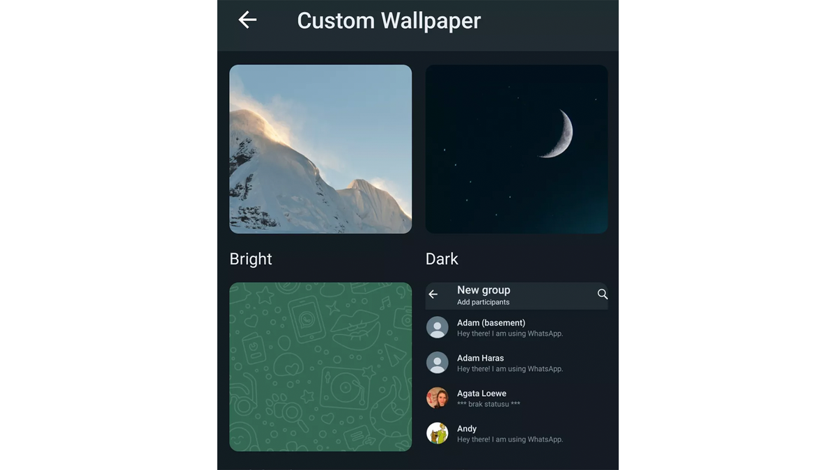 How to use WhatsApp in 2024 on iOS, macOS, your web browser, Windows