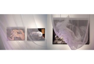 ANOHNI artworks. Photographs behind sheer silk