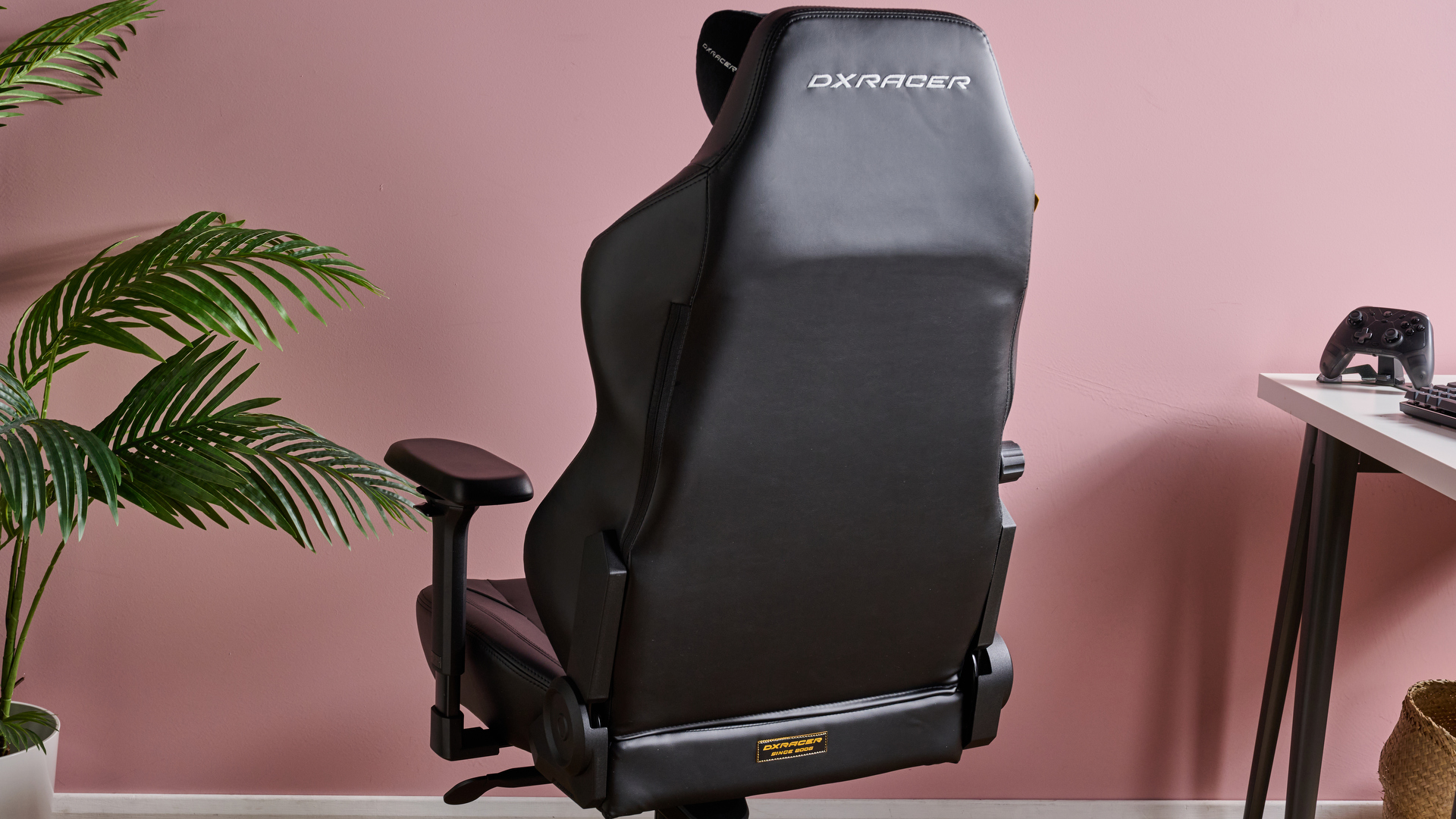 Back of DXRacer Craft with plant, desk, and pink wall in background