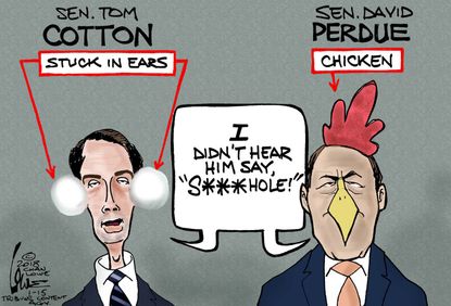 Political cartoon U.S. Trump racist comments GOP loyalty Tom Cotton David Purdue