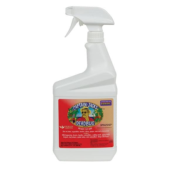 Captain Jack's Deadbug Brew - 16 Oz. (concentrate)