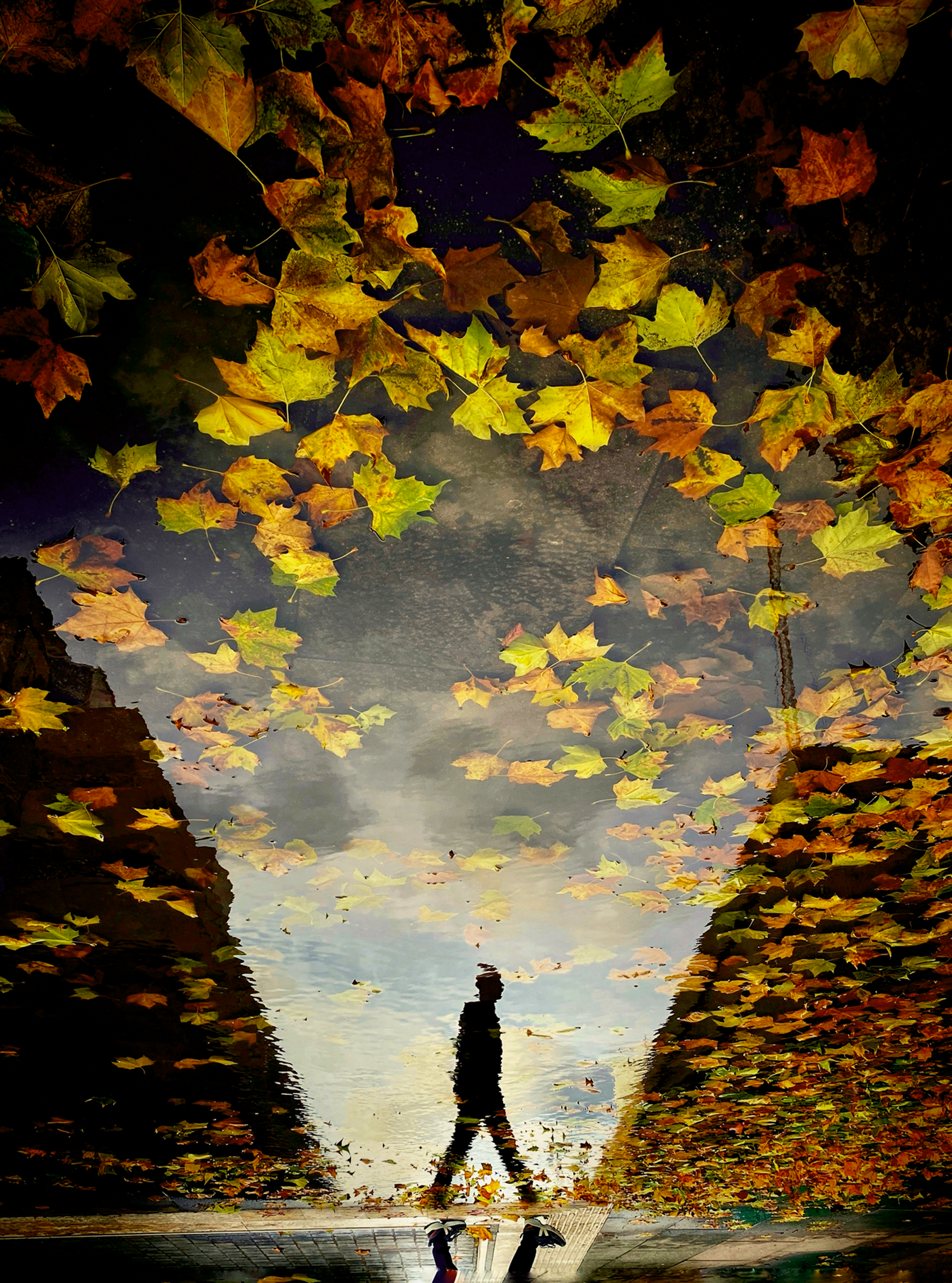 An upside-down reflection in a puddle shows a person walking under a cloudy sky, framed by floating yellow and orange autumn leaves, with their real feet just visible at the bottom.