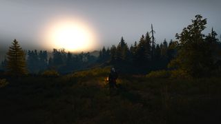 Best Witcher 3 Mods - Preparations Mod