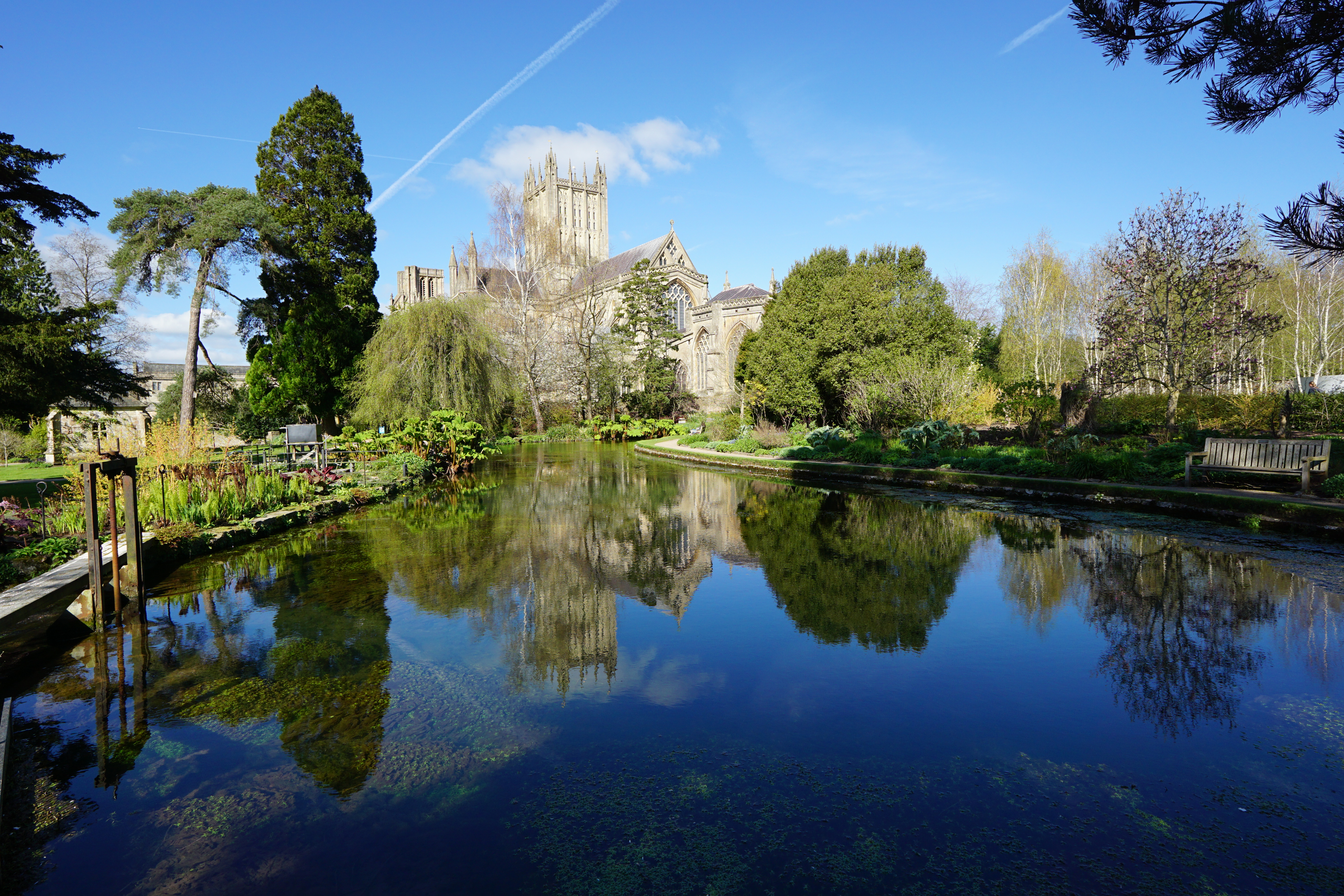 Sigma 12mm f/1.4 DC | C example shot