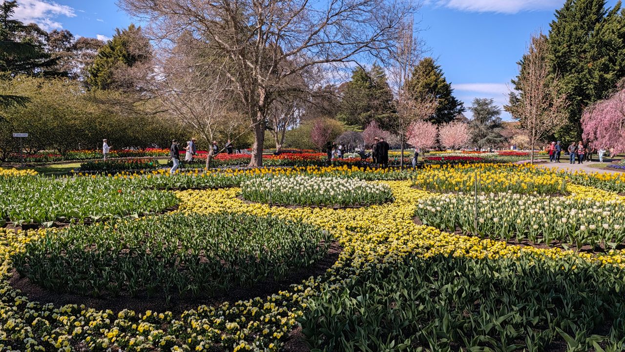 Google Pixel 11 camera samples
