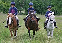 ponyclubponies.jpg