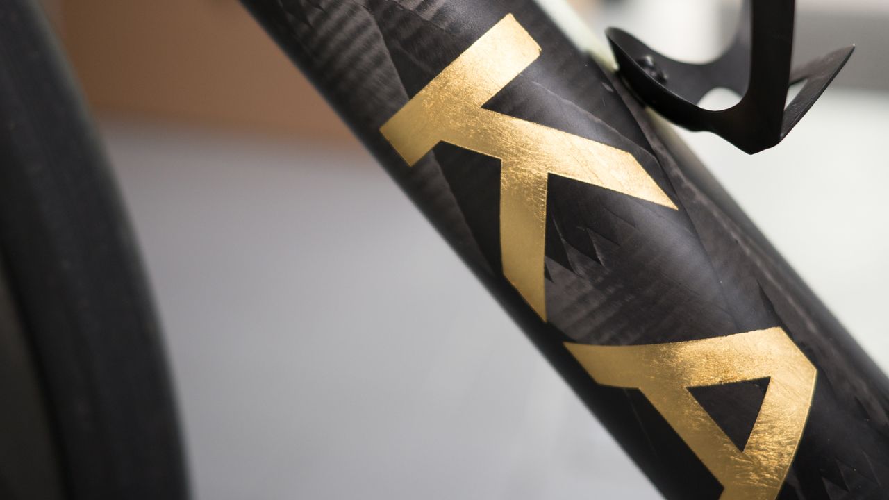 Festka Spectre gold leaf logo