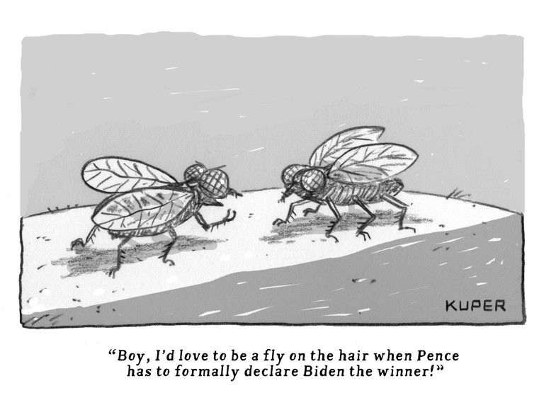 Political Cartoon U.S. Pence fly Biden win