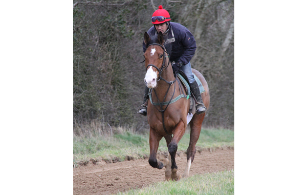 10 Sandymount Duke