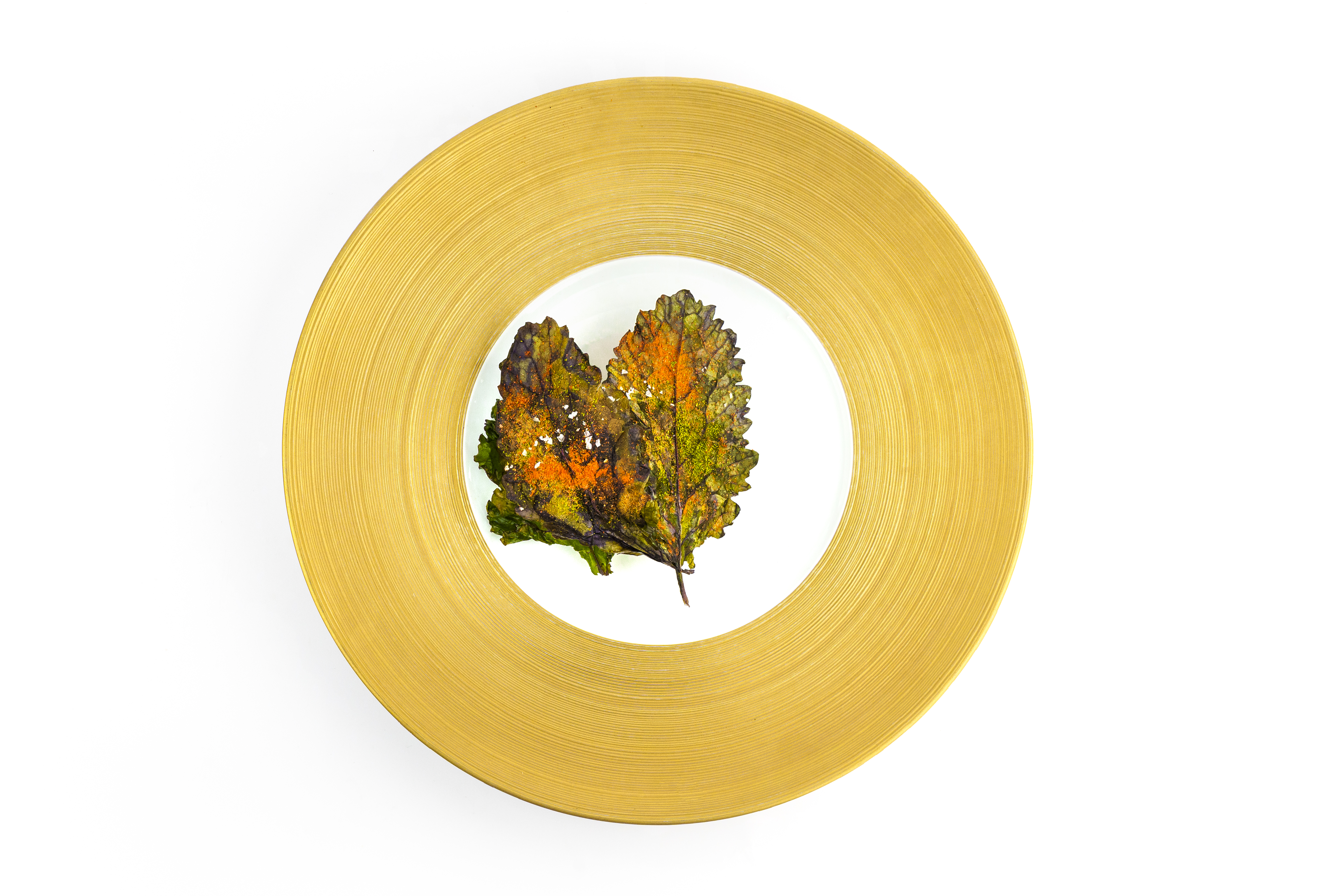 A yellow rimmed shallow plate is filled with two leaf-looking pasta layers topped in orange sauce.