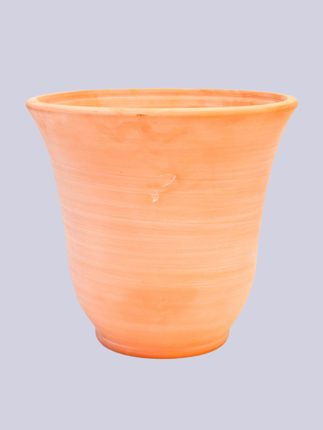 A terracotta planter