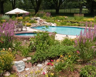 hot tub with surrounding flowers and pool