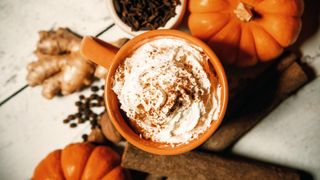 An Autumn favorite hot drink, the pumpkin spice flavored coffee, tea, or chai, complete with fresh pumpkins and whipped cream topping. Cinnamon sticks, ginger, cloves, and allspice surround the mug of spicy warm goodness. Rustic wood table.