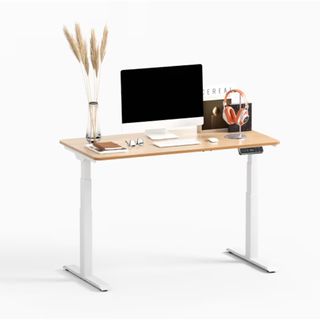 FlexiSpot Standing Desk Premium Series E7