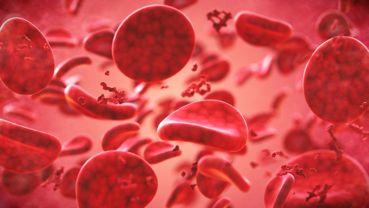 Blood Types: What They Are and Mean for Your Health