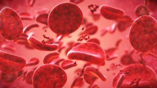 An illustration of red blood cells in plasma