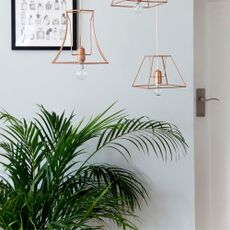 Palm houseplant below hanging rose gold lights and framed wall print