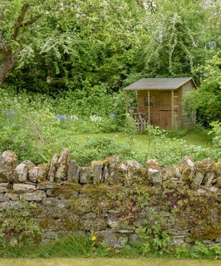 Dry stone garden wall ideas, shown covered in moss in a rustic country scheme with small wooden shed.
