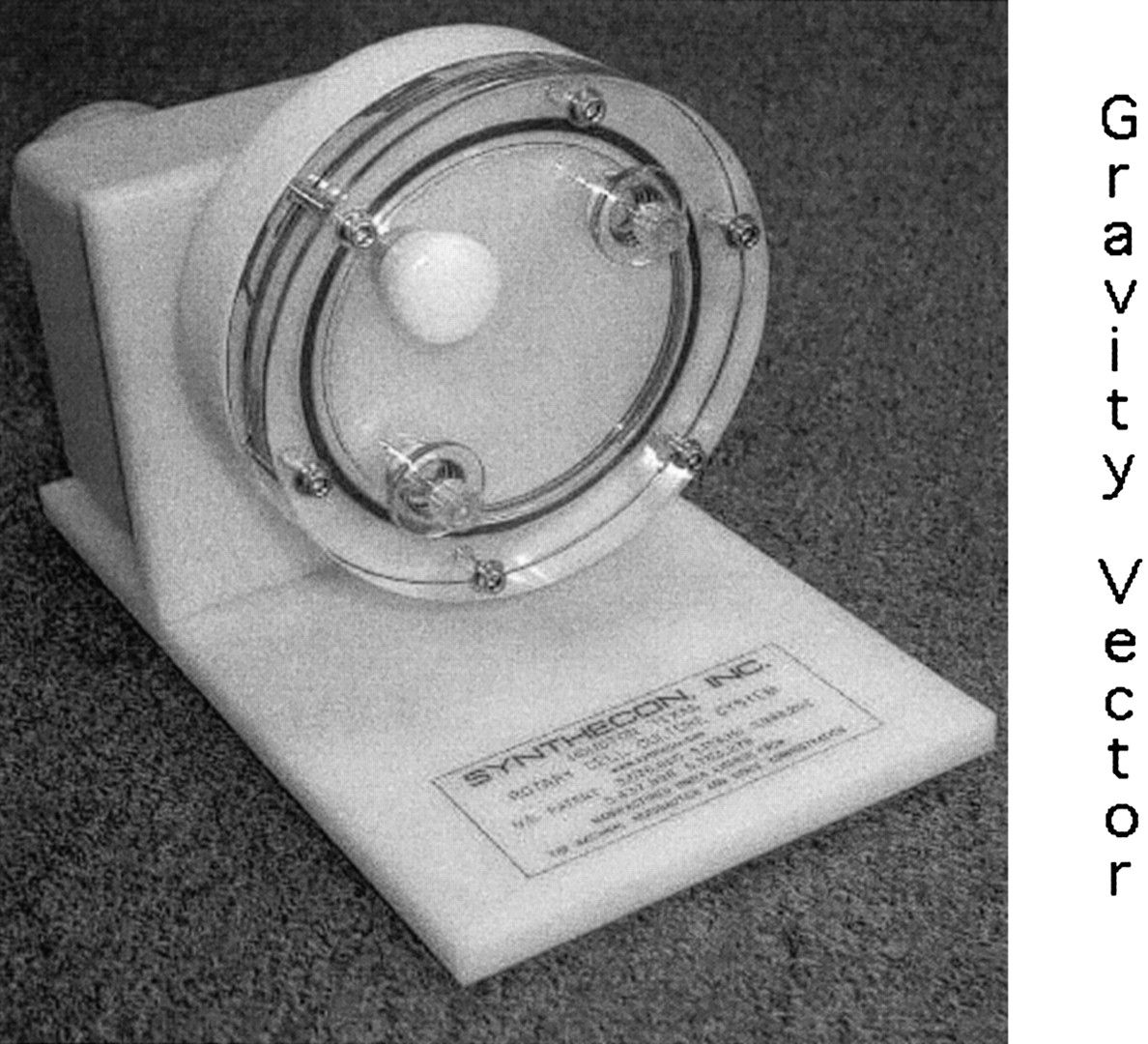 Life Evolves Adaptions to Microgravity | Space