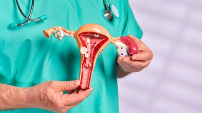 Doctor in green scrubs holding a model of a uterus