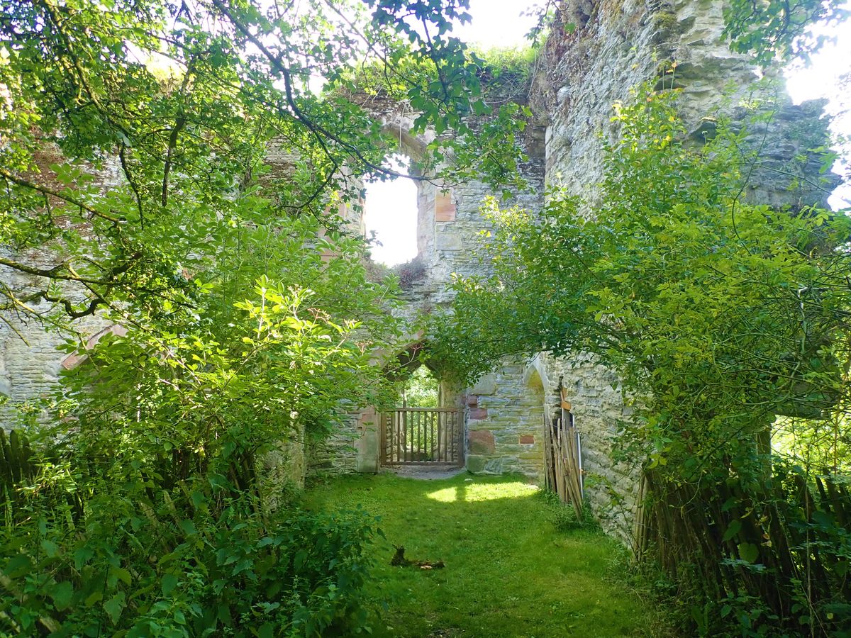 The area is home to rare flora and fauna