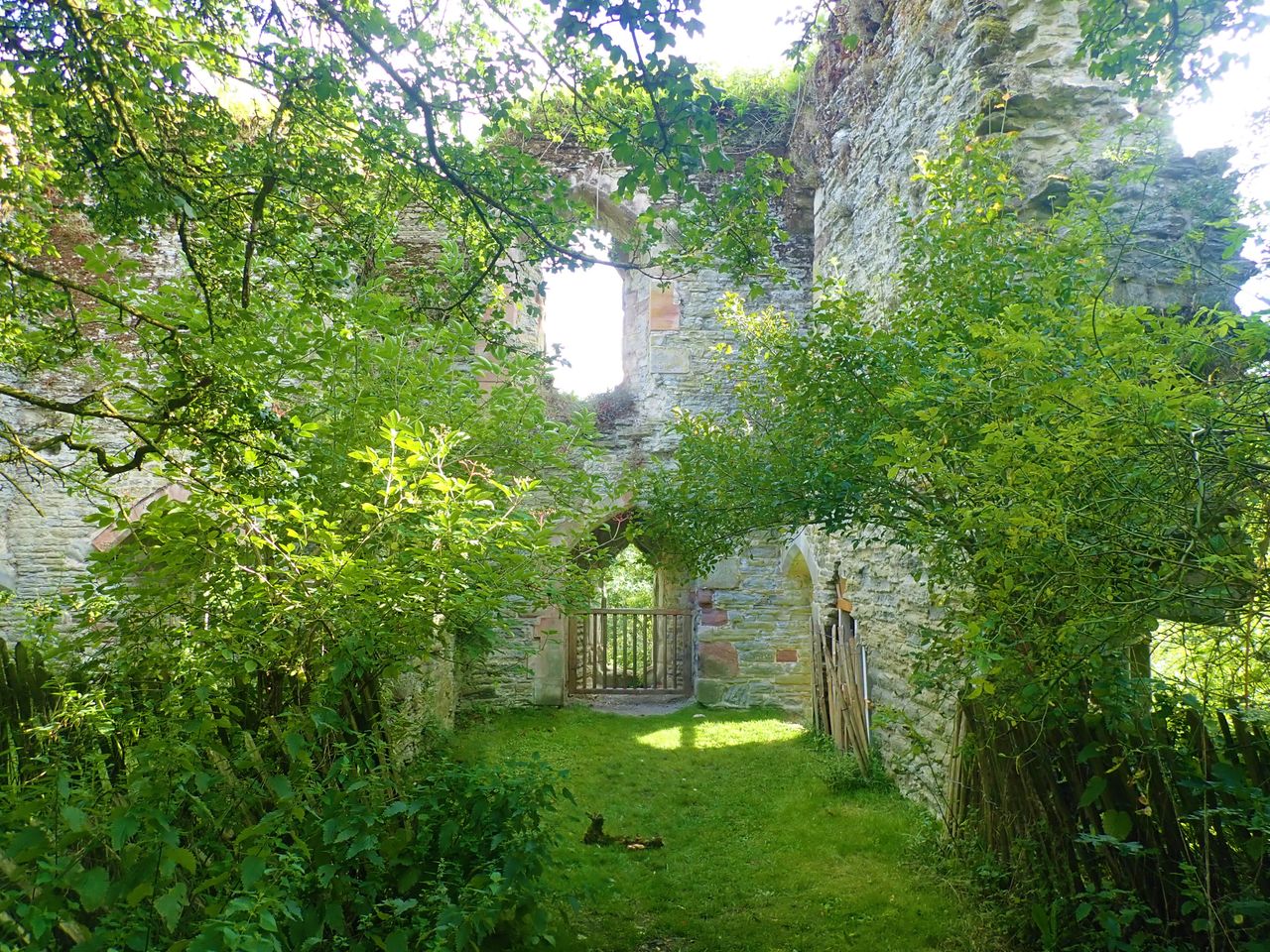 The area is home to rare flora and fauna