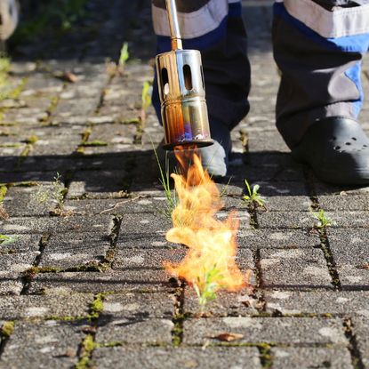 using a weed burner to kill weeds 