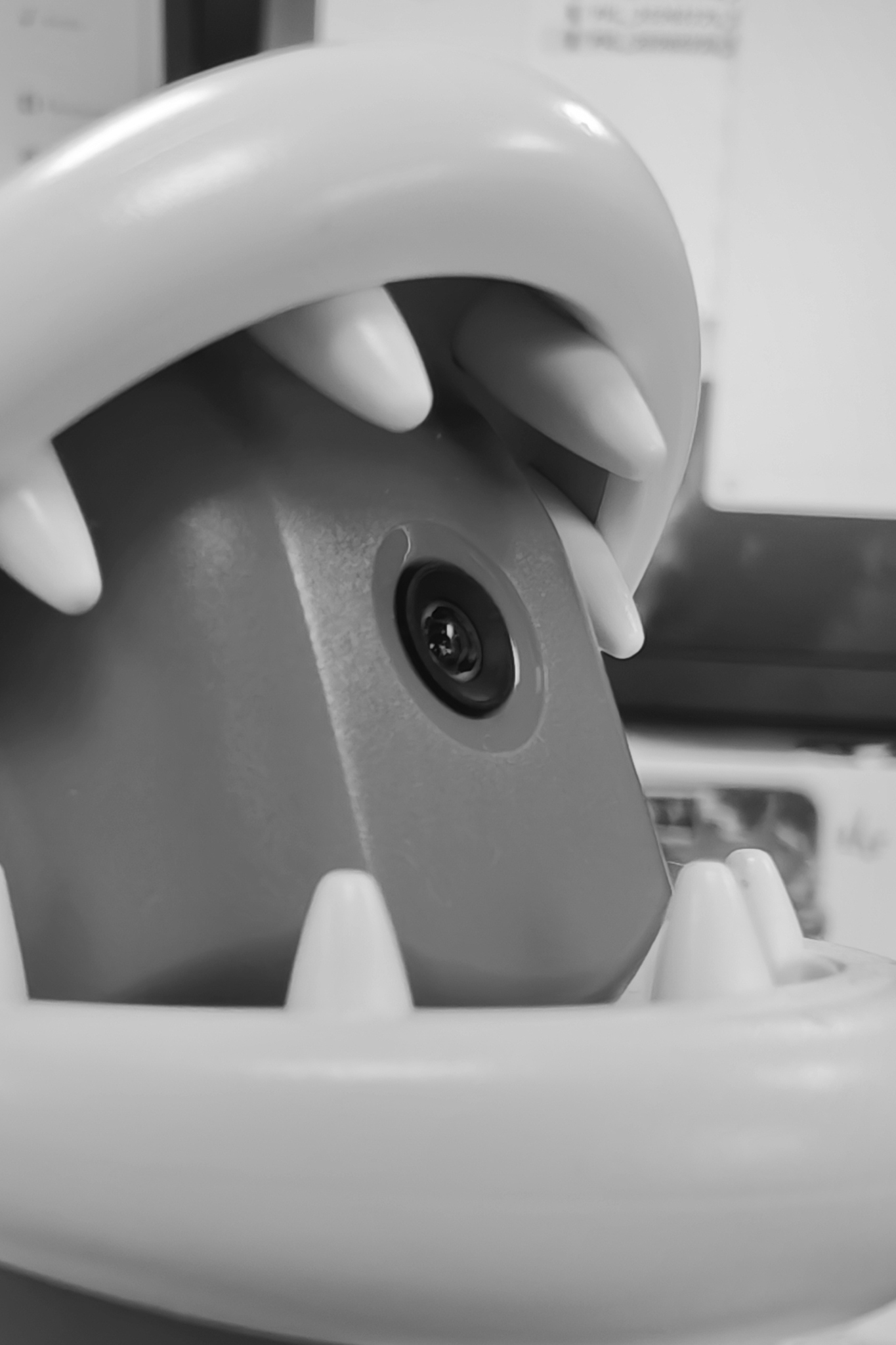 Leica Q3 Monochrom vs Leica Leitzphone macro comparison