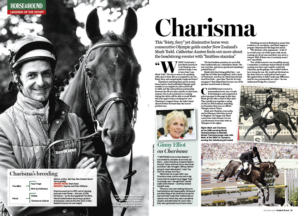 FT 4pp Horse legend Charisma