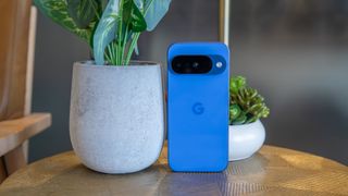 Pixel 10 next to two faux potted plants