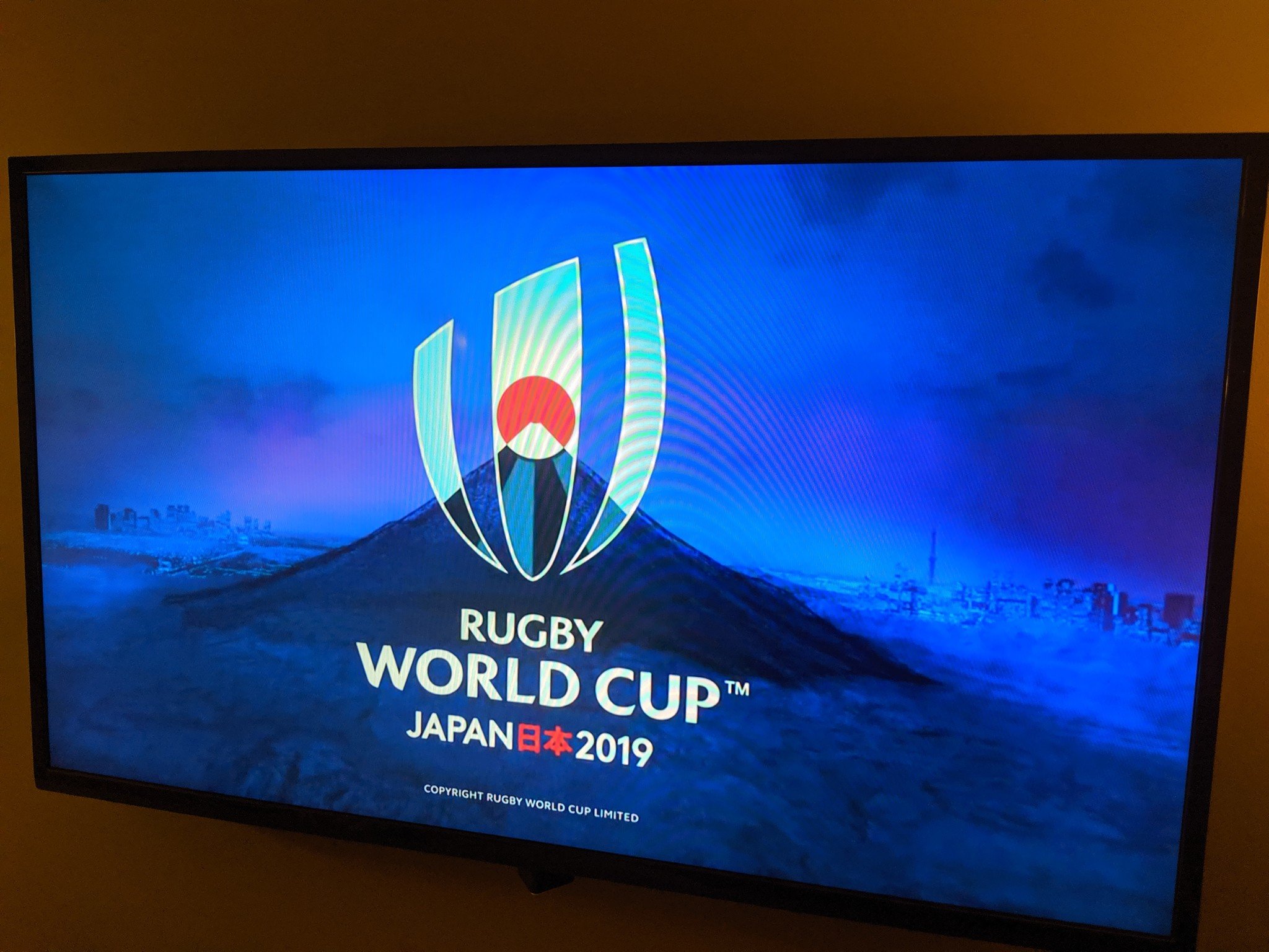 How to watch the 2019 Rugby World Cup final online What to Watch