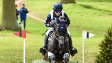HorseNo931_Belton_PN19_6357_280504121_477004141.jpg